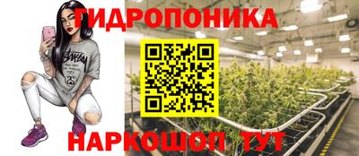 дурь Камышлов