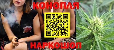 дурь Камышлов