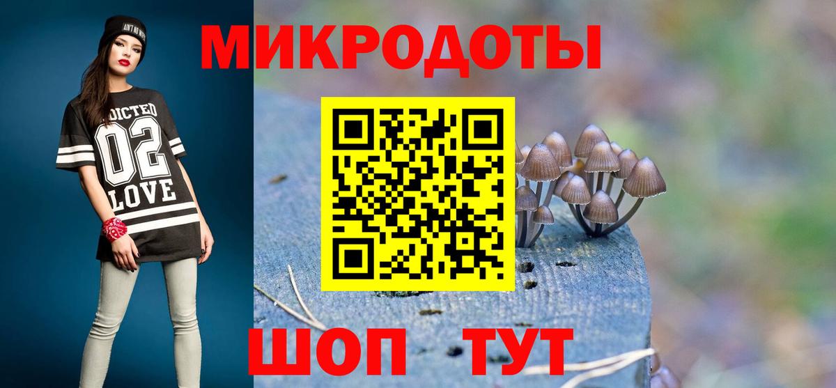 Новошахтинск  Галлюциногенные грибы прущие грибы  Вход с VPN 