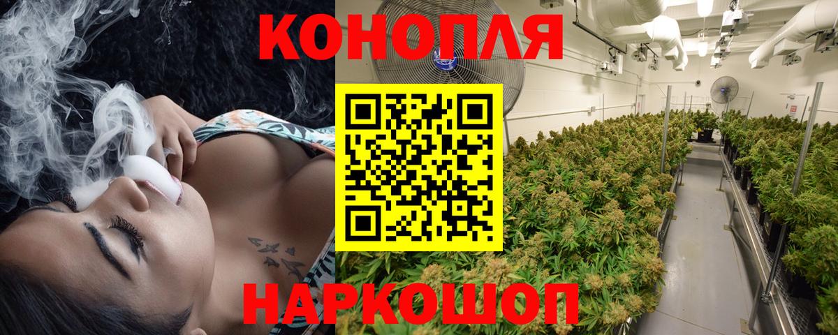 Марихуана планчик Новошахтинск